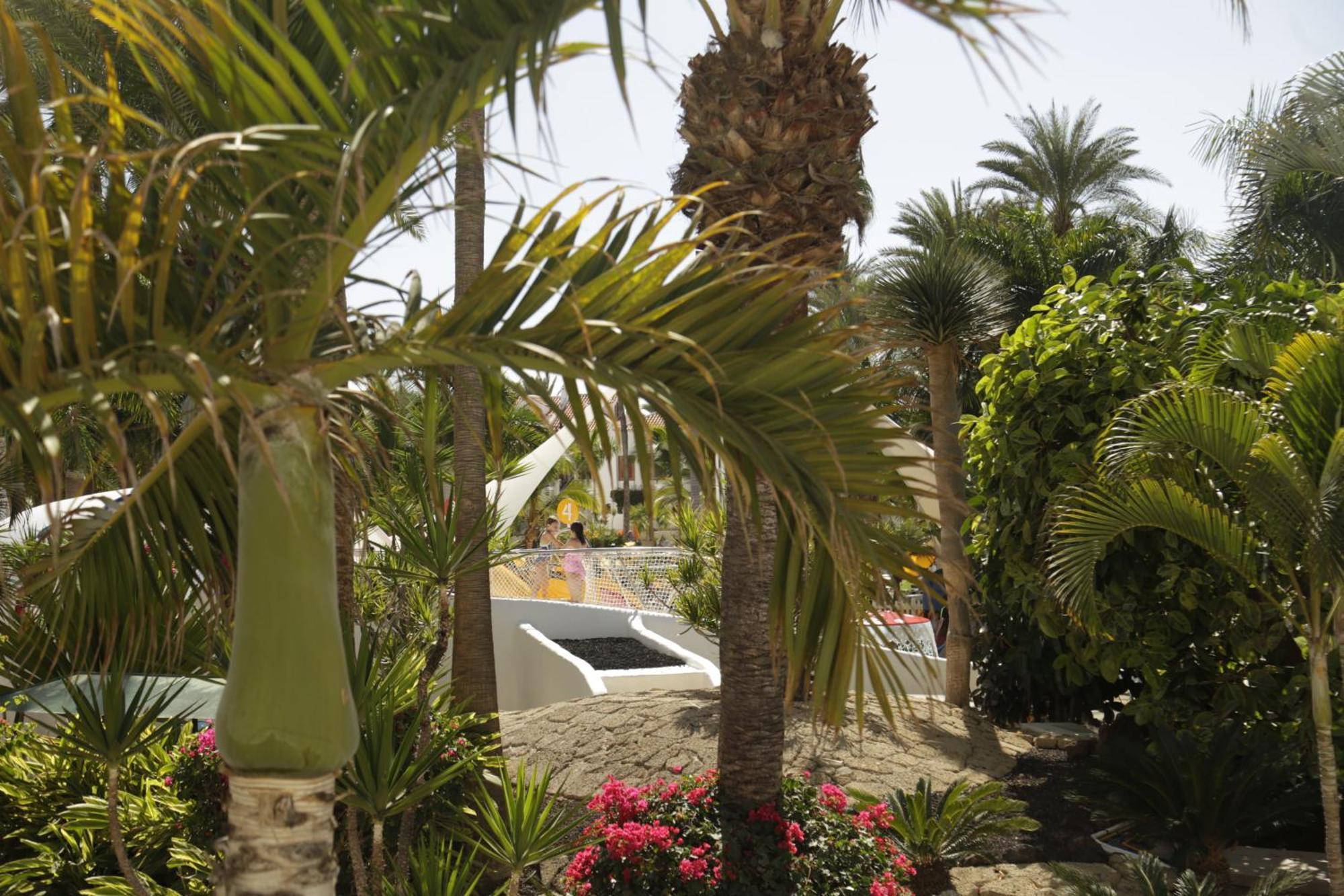 Parque Santiago 3 Luxery Apartment, Playa las Américas, Arona, Tenerife Playa de las Américas Exterior foto